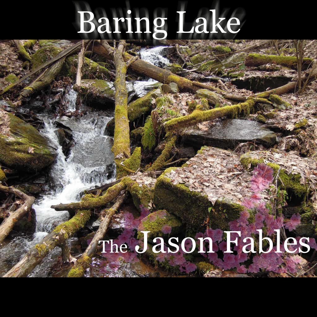 Baring Lake Cover